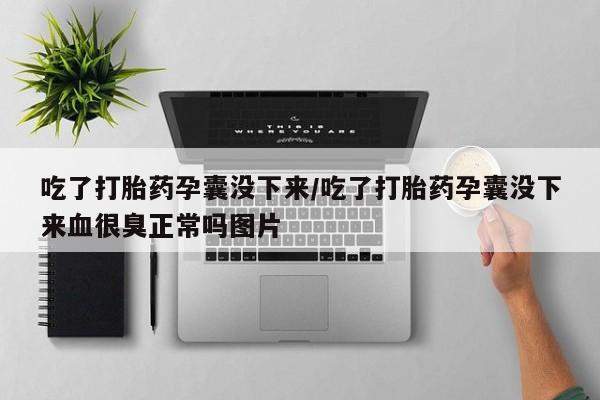 网上正品打胎药购买微信吃了打胎药孕囊没下来/吃了打胎药孕囊没下来血很臭正常吗图片